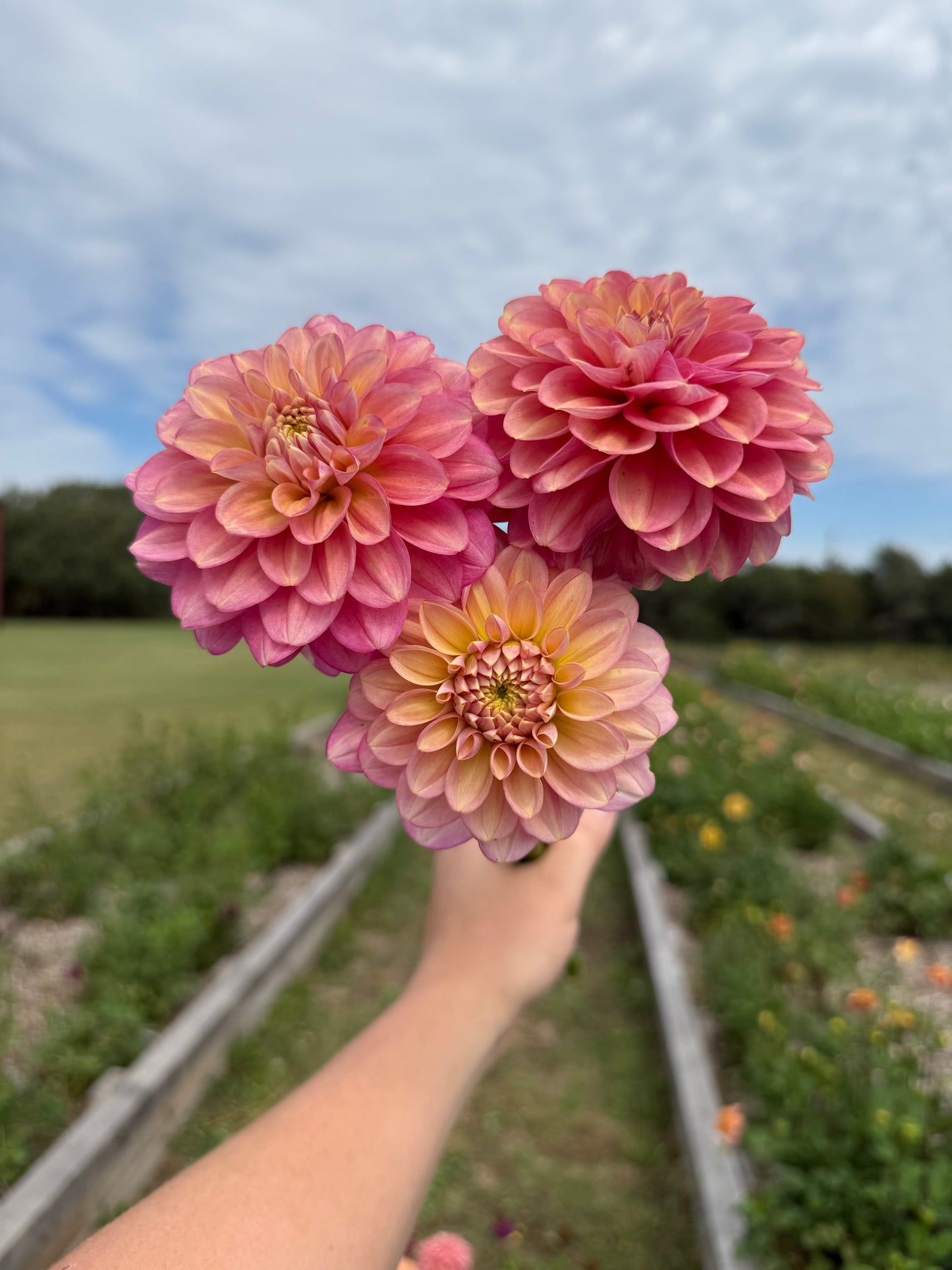 Milena Fleur - Tuber